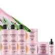 Entire Product Line Bundle - Donna's Recipe